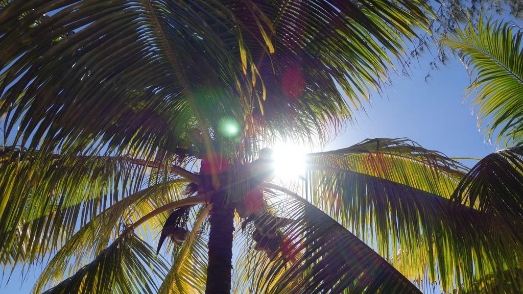 Villa Coconuts Grand Baie Exterior foto